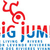 Logo Big Jump new [vecto] met tekst